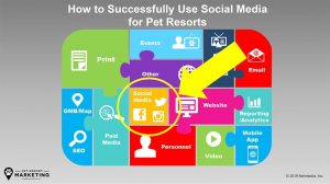 How to Successfully Use Social Media Marketing for Pet Resorts