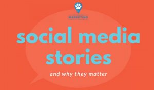 Social Media Stories (and Why They Matter)