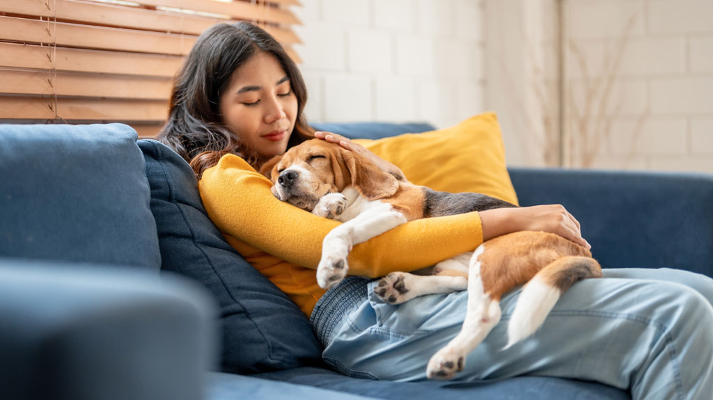 Woman holding a sleeping dog on the couch